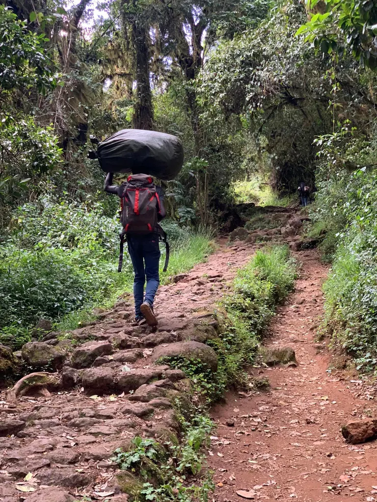 坦尚尼亞政府對於登山客有聘僱當地嚮導和揹工的規定。