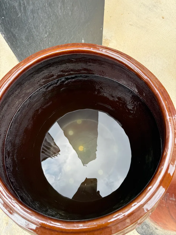 2025/10/01 路上看到許願池 (一個水缸裡面有錢)