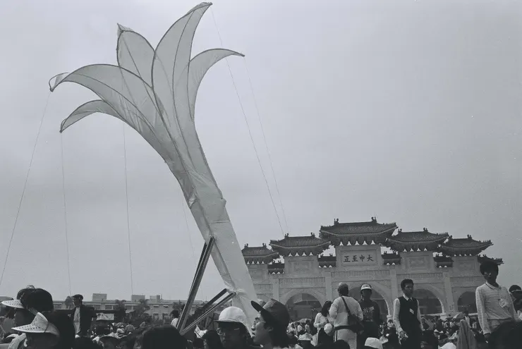 野百合的正能量光芒