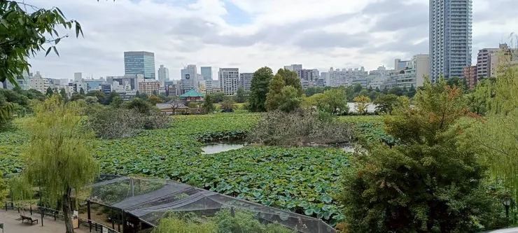 橋上往下.....風景仍很美