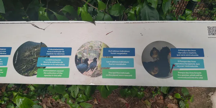 葡西英三種語言，介紹鳥類的現況和Parque das aves 的保育立場