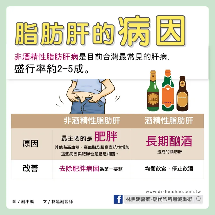 做對什麼？脂肪肝就可以改善，甚至不藥而癒/文：林黑潮醫師