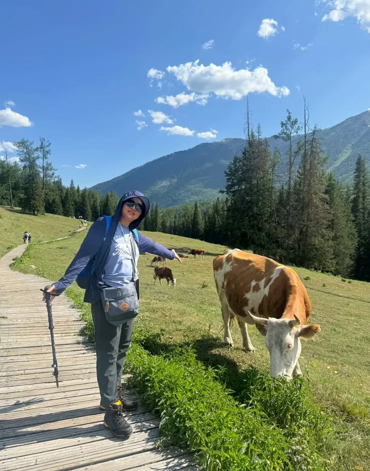 牛兒不怕人,可以很接近牠,實在太可愛了