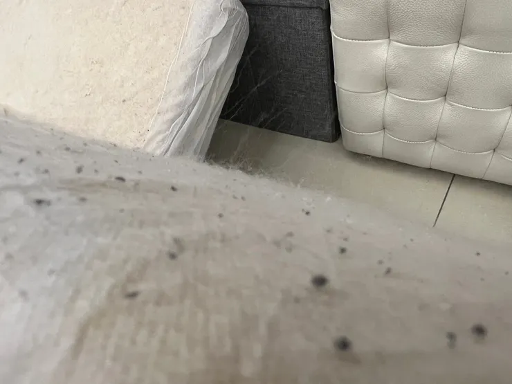 拆掉布套的坐墊