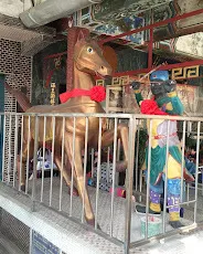 馬將軍（圖片截圖於網路）