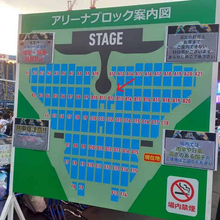 紅色箭頭就是我的位置😭雖然有用綠色乖乖許願但也太有效🙏