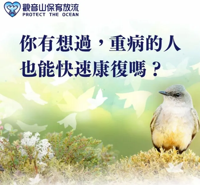 重病也能快速康復