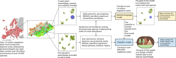 圖片取自期刊。