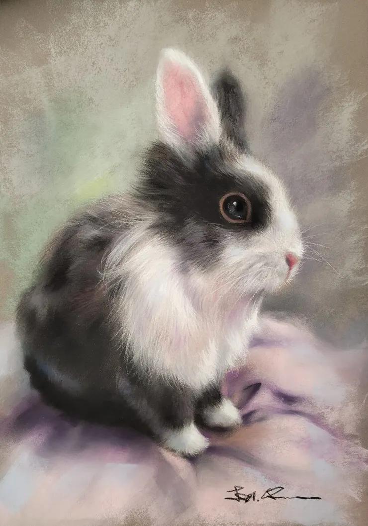 兔子 (媒材:粉彩)