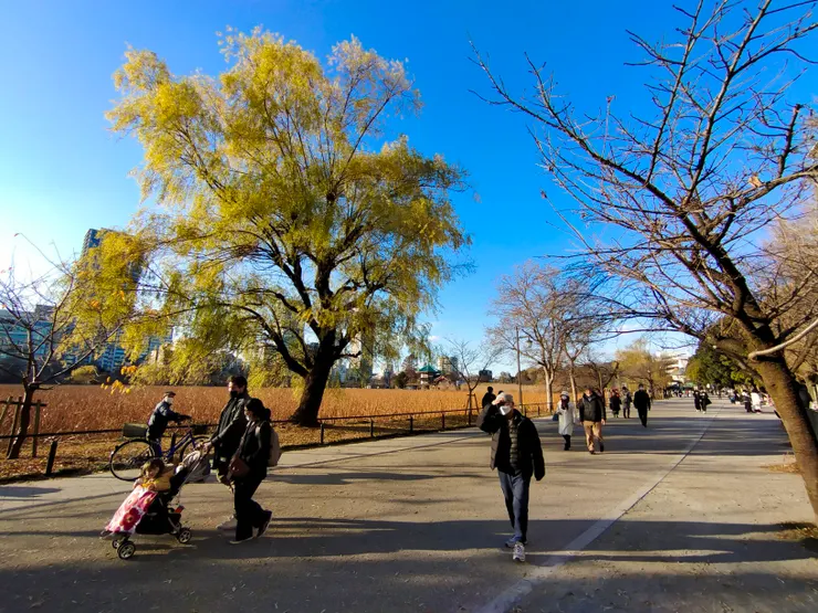 蠻多人在這裡散步