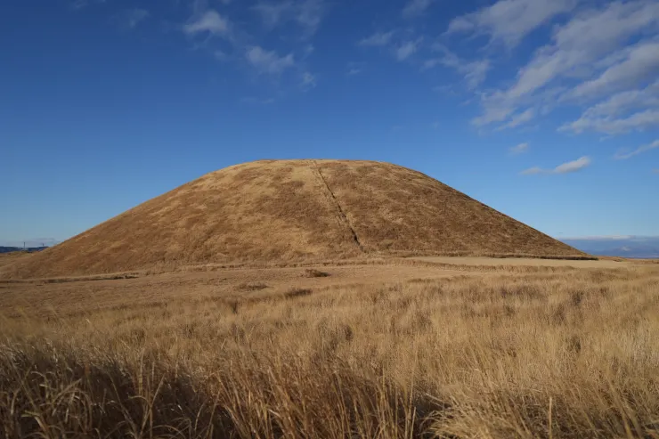 冬季限定大布丁