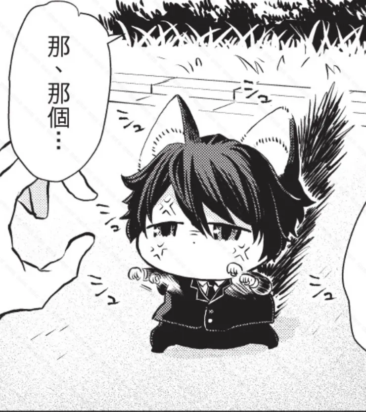 \ 氣噗噗小貓咪 /