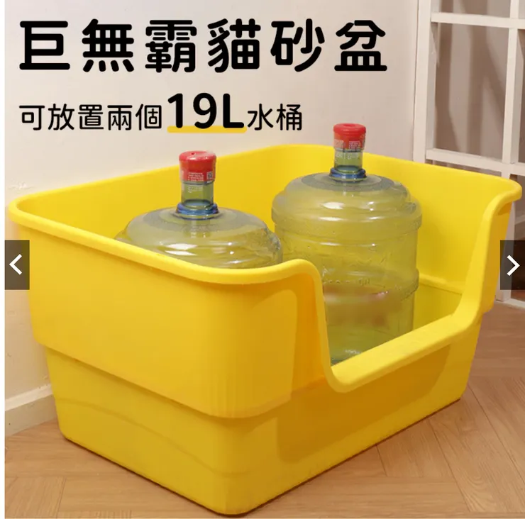 貓咪超愛開放空間！！