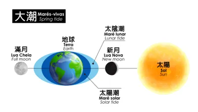 潮汐現象-大潮與小潮