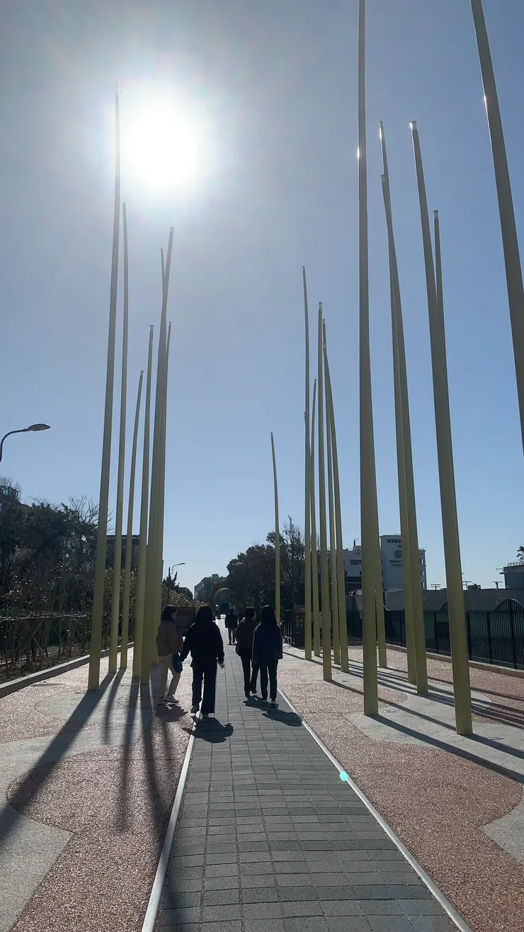 釜山真的是隨便走隨便好看。