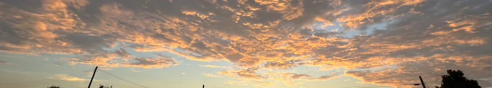 辛西亞的菜市場生活的沙龍