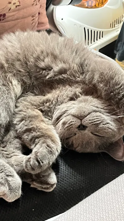 我家一世睡到翻去