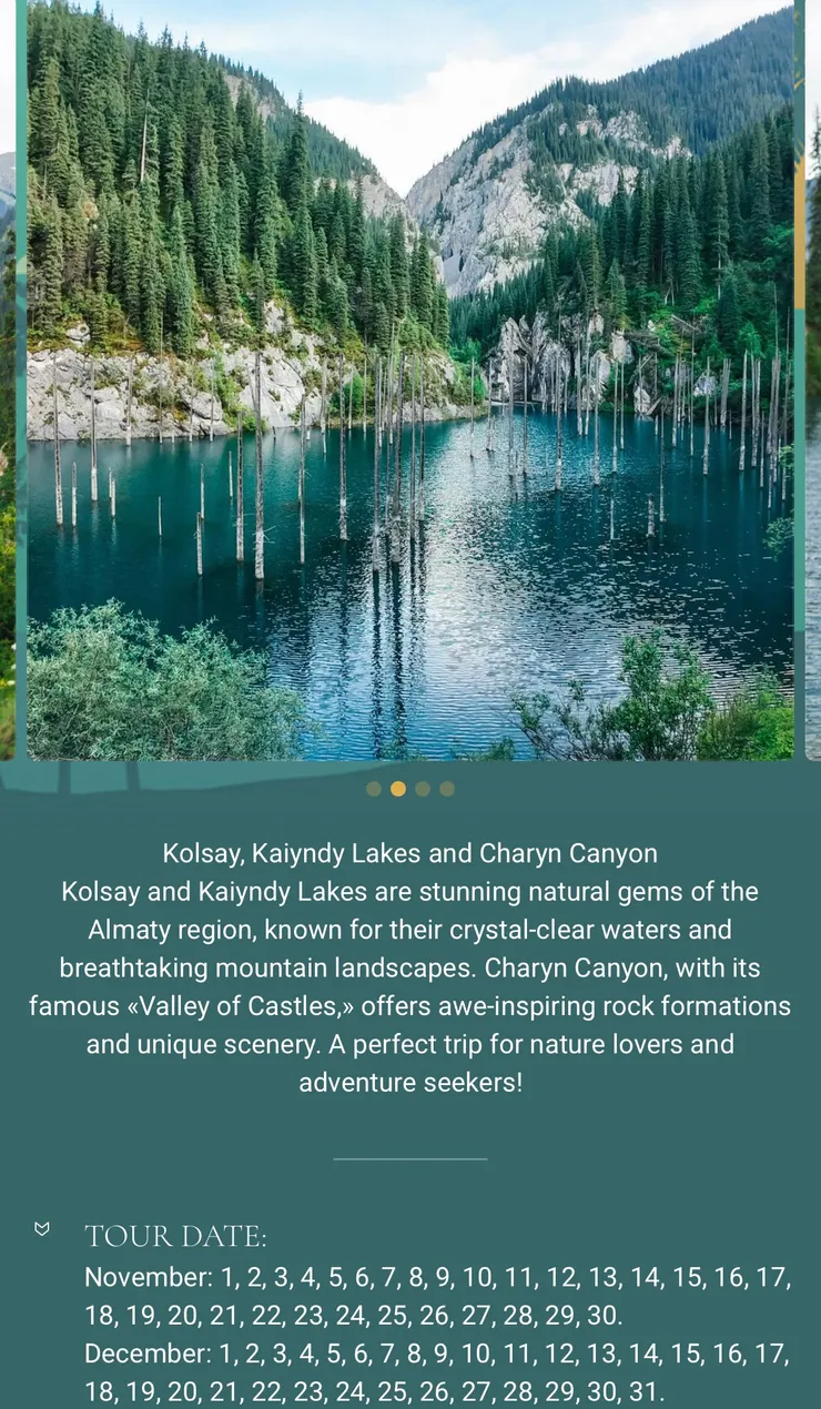 1 day tour 的資訊頁面