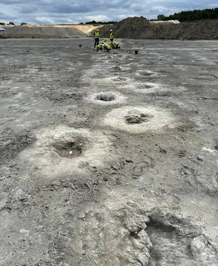 圖片來源：Emma Nicholls/Oxford University Museum of Natural History