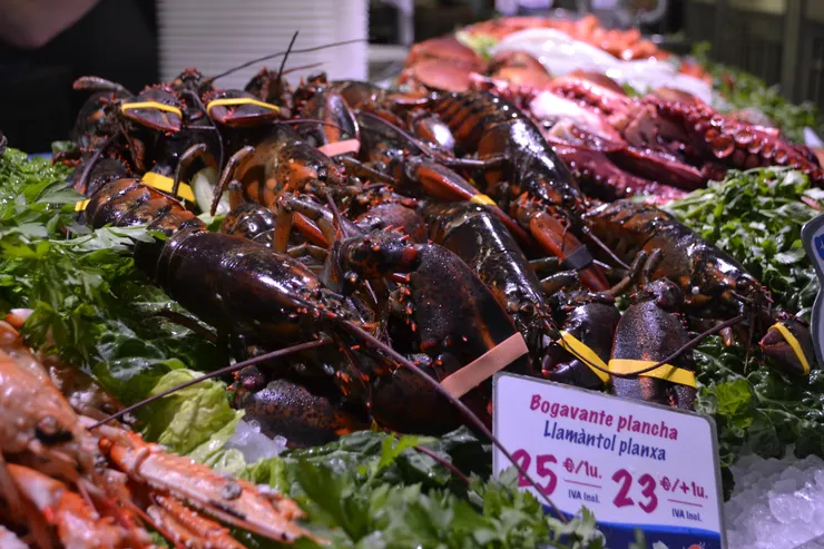 海鮮餐廳擺放各種海鮮，雖然看不懂是什麼總而言之是十分美味。