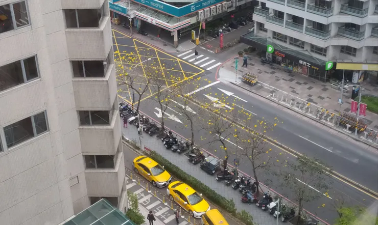 亞東VS_YS看診的所在樓層是我就診期間裡,診間位處「最高樓層」的一位醫師了,而如果就醫品質也是一座馬斯洛需求金字塔,那每回登臨VS_YS就診的心境與經歷,就也足像登達到了這塔的上幾層次那般....而且每逢三、四月來診等候時,還能憑窗俯望樓底小黃與黃鐘花相映整條馬路的景象。