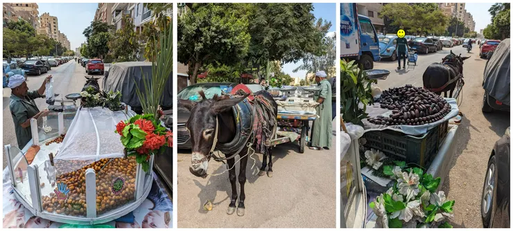 漂亮的小黑驢發財車(筆者經老闆同意拍攝)