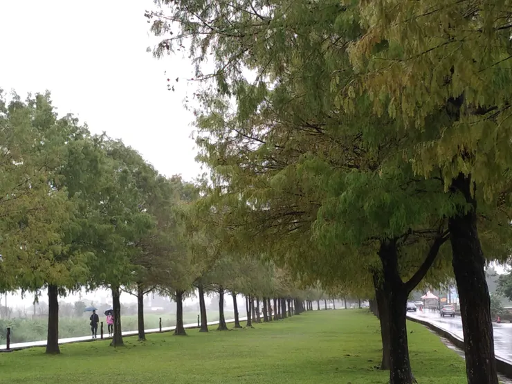 向上看, 往前走!!