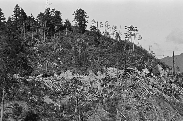 刊頭：大雪山林區伐木後的林相 案名：農業發展、畜牧業、林業、造紙、石化、塑膠、造船、航空、汽車工業 檔號：0065/0057/1 來源機關：行政院新聞局 管有機關：國家發展委員會檔案管理局