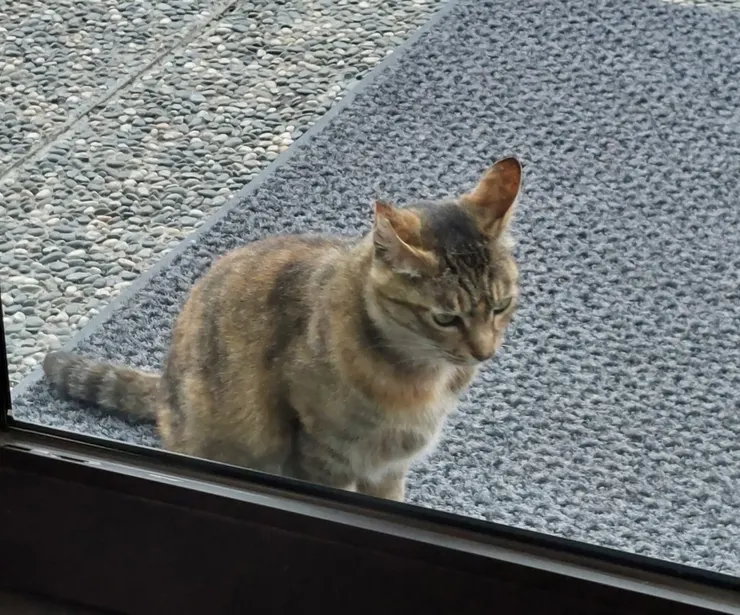 我們的距離　既近又遙遠