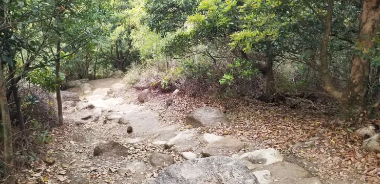 起點都是兩邊樹林