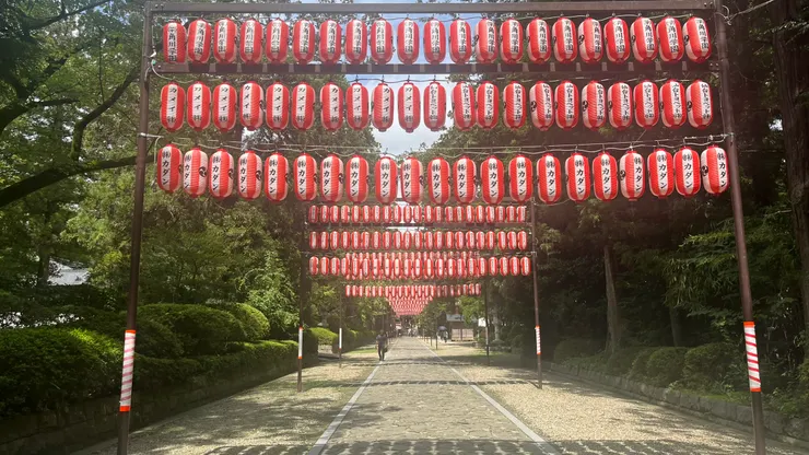 據說松焚祭等重要祭典期間點燈後,為化為一條充滿儀式感的光之通道。