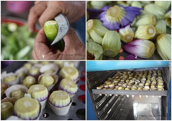 蓮花茶的製作流程