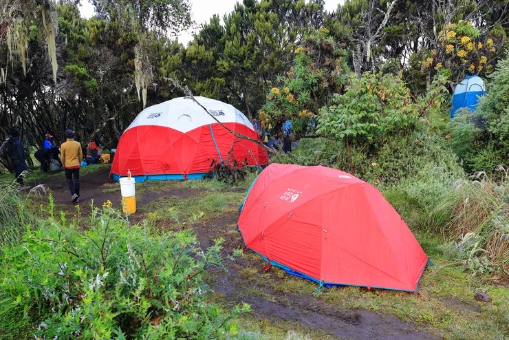 Machame camp的MHW帳，半圓頂是餐廳，可以塞快16人用餐，超大。前景是三人帳，右後方森林裡那個是攜帶式廁所帳。