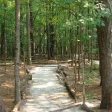 為賦新詞強說愁的沙龍