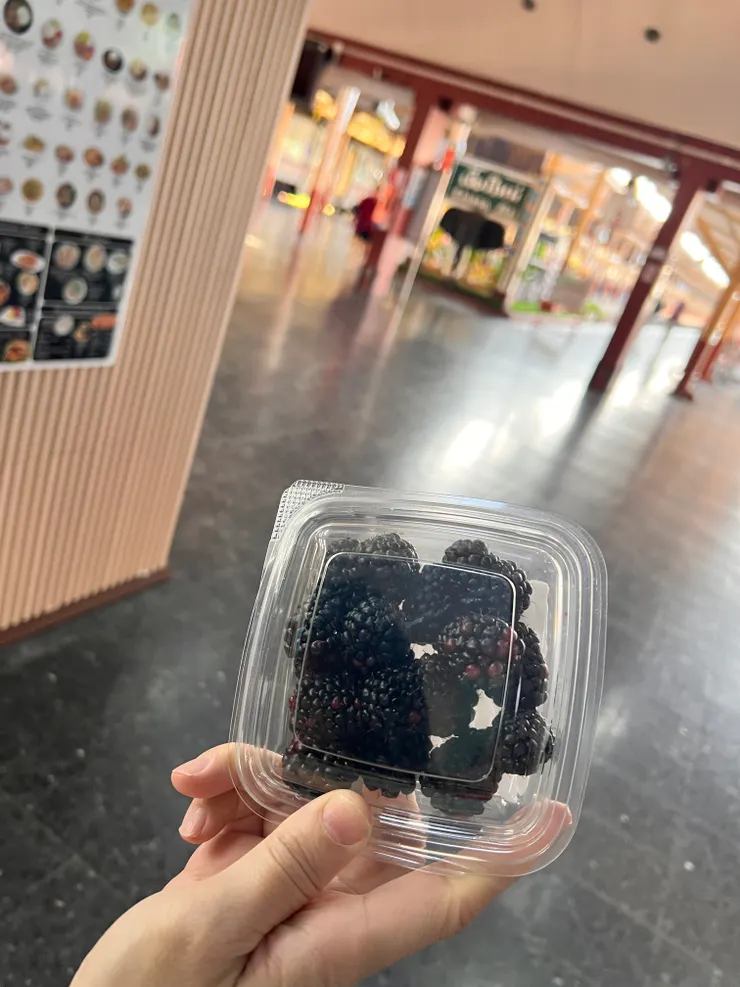 跟媽媽買了桑葚在火車上吃