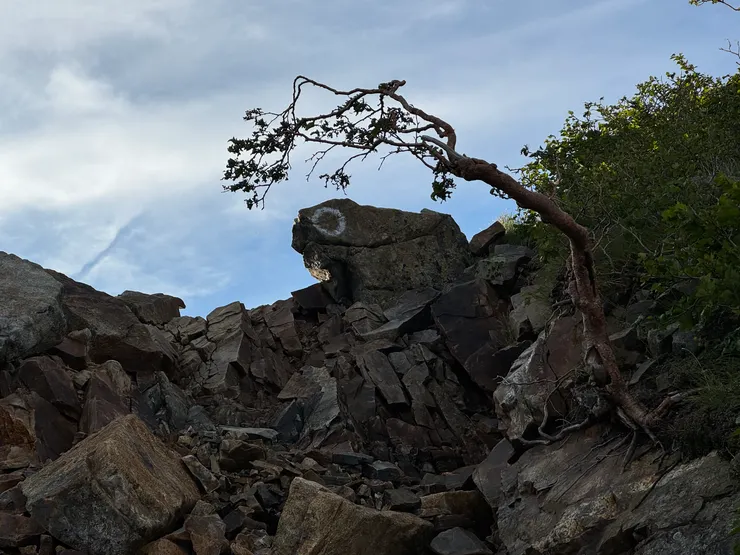 這才應該要叫「蛙岩」吧？