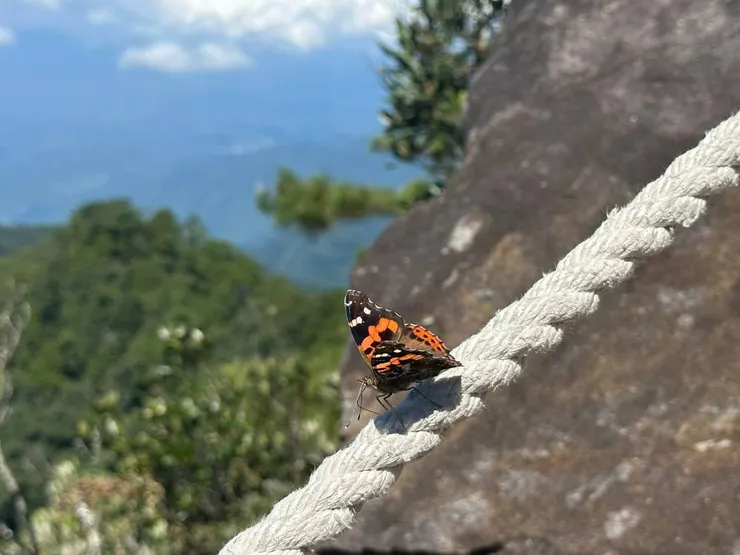 心靈自由是一個長期規劃