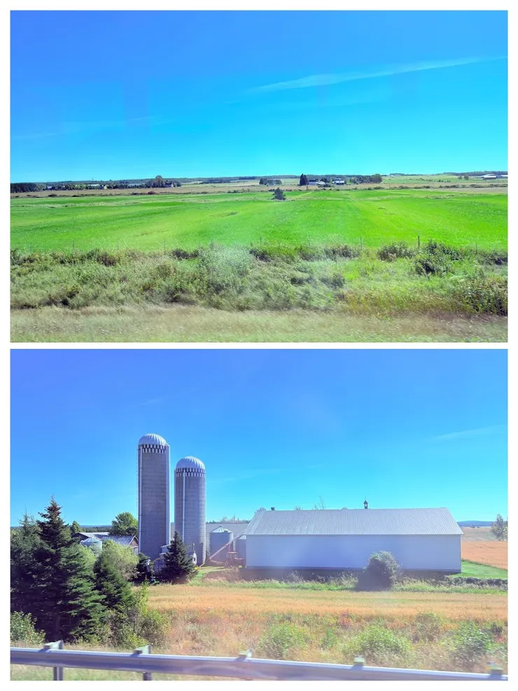 加拿大東部以平原居多， 很大部分種植農作物。高大的子彈行穀倉。