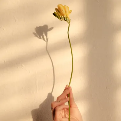 熙妍●熙言的沙龍