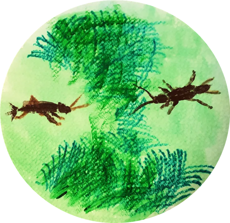 螻蟈鳴。立夏,「萬物至此皆長大」。