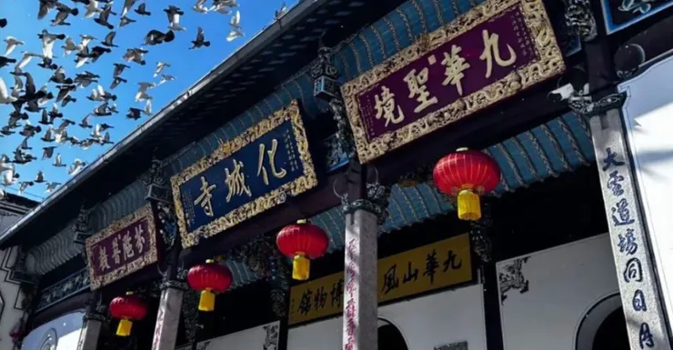 化城寺屋頂上方有幾隻飛鳥正在飛行，讓整個畫面看起來生動且充滿活力。