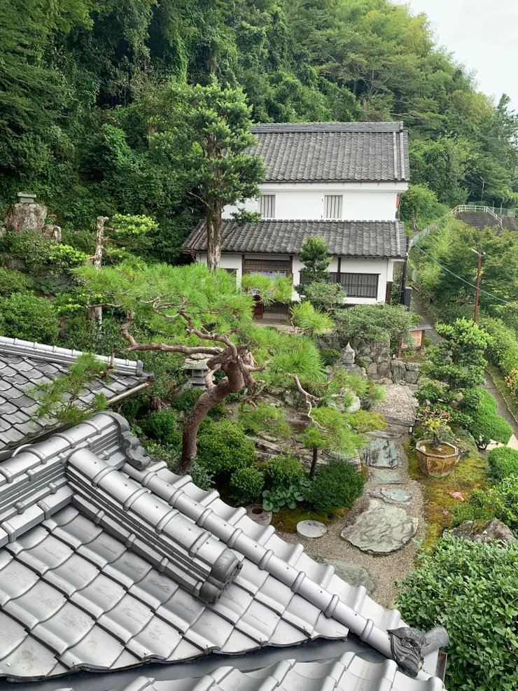 從二樓的窗戶往外拍