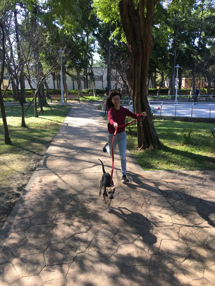 但平常一起跑跑是很開心啦
