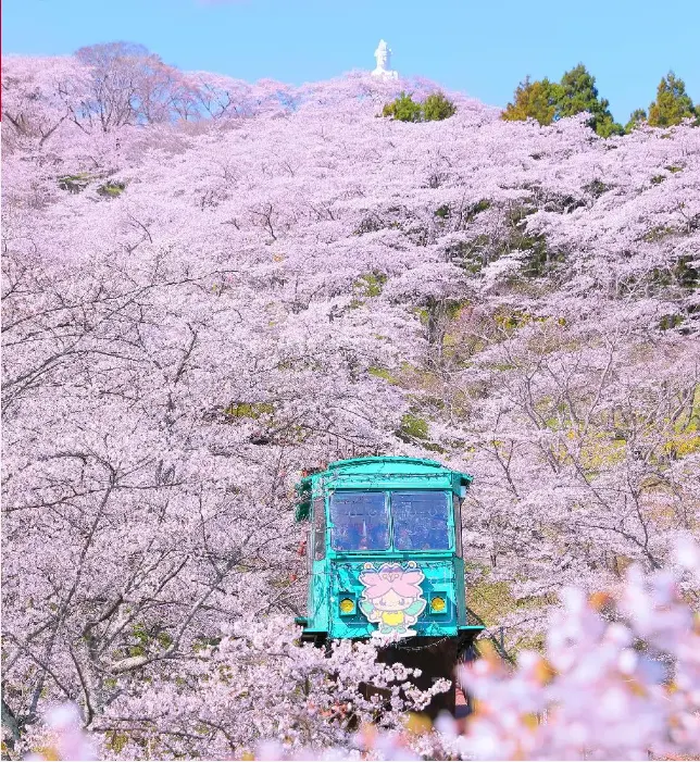 圖片來源:柴田町商工観光課
