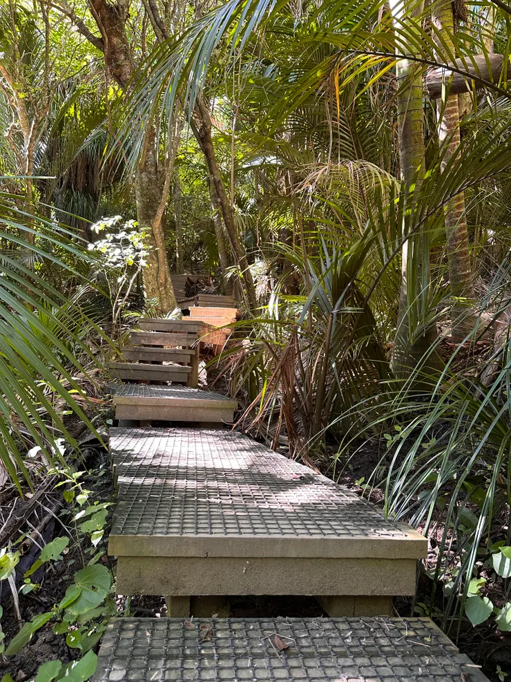 枕木階梯下是爛泥一片。