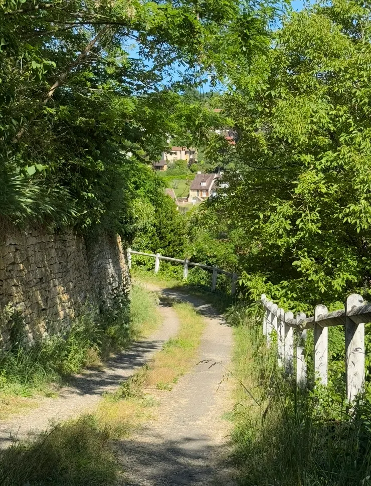 下山前最後的一瞥