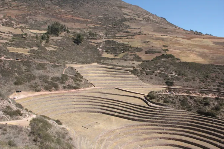 Maras Moray