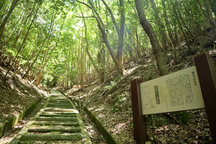 淺階梯不斷往下（此為由下往上視角），這裡介紹著勝尾寺的舊參道