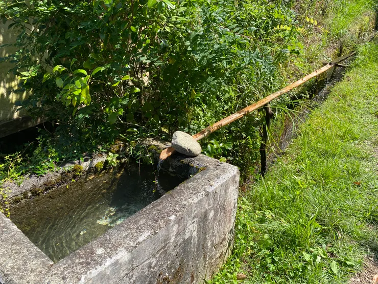 這裡的山泉水清澈潔淨，名符其實連水溝的水都可以喝（我們真的裝來喝了，不錯很甜）