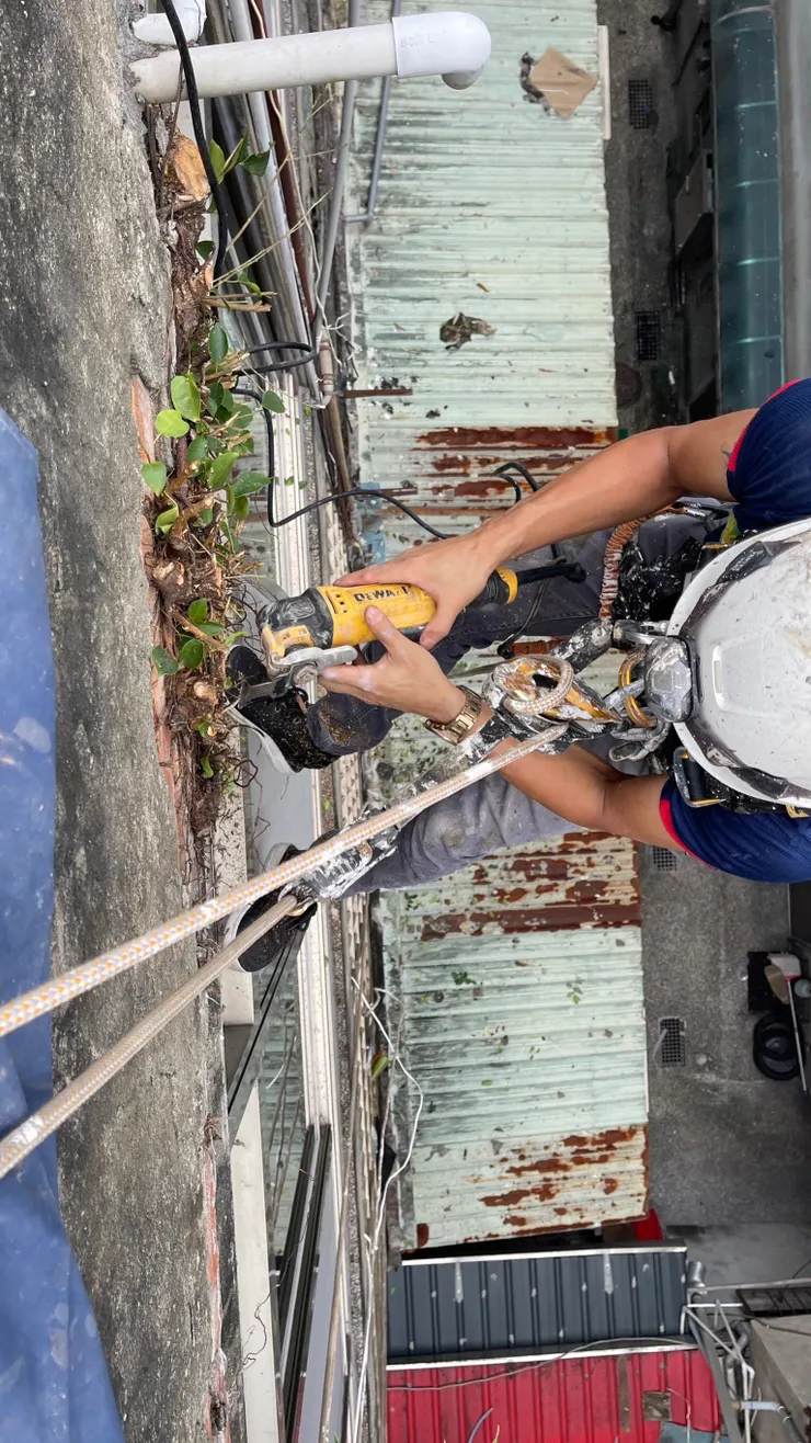 大枝幹切除後使用研磨機來使用切除,比起手鋸跟電鋸,小角度上研磨機實在太好用了